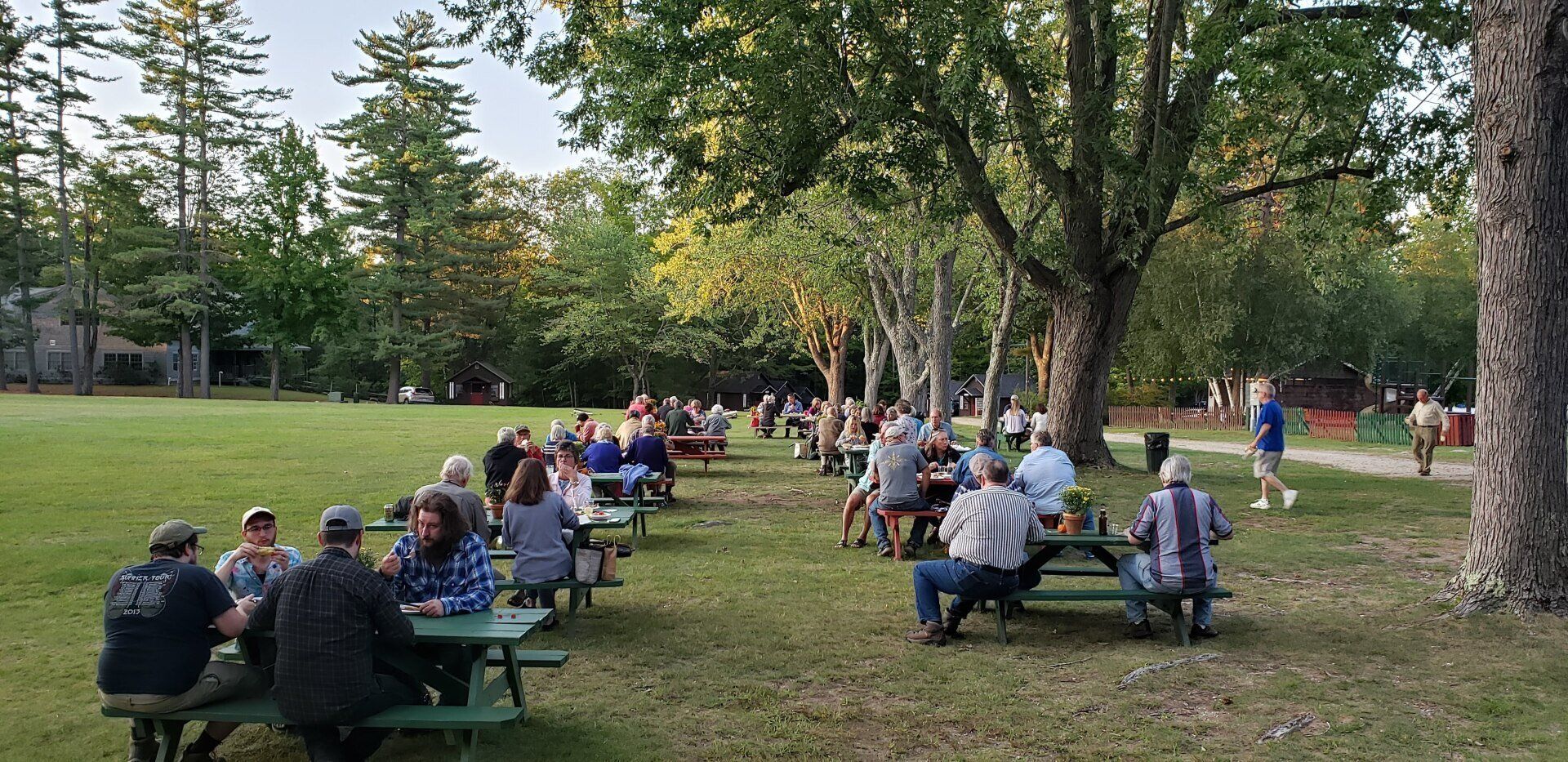 A group of people are sitting at picnic tables in a park.