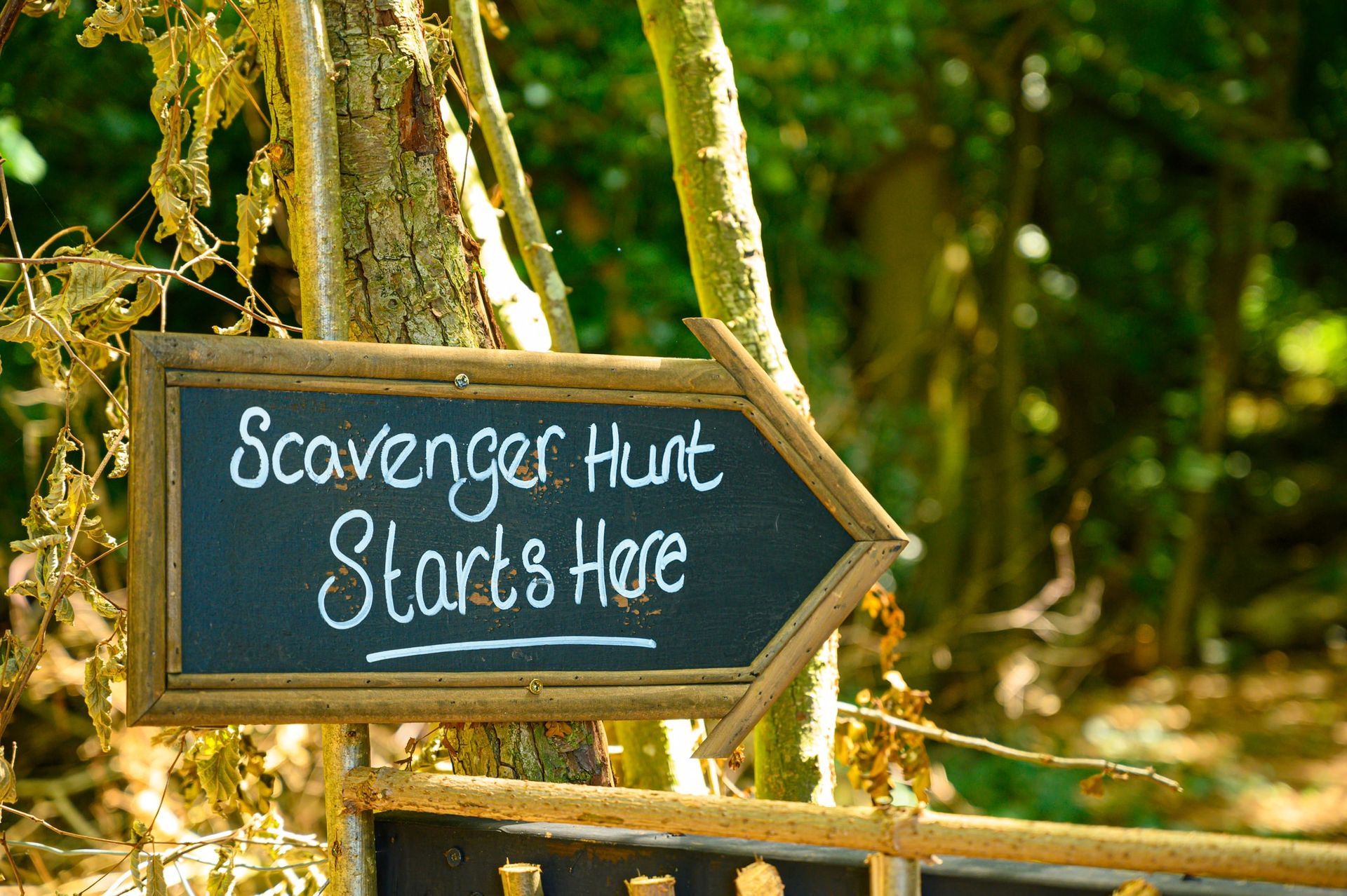A sign that says scavenger hunt starts here on it