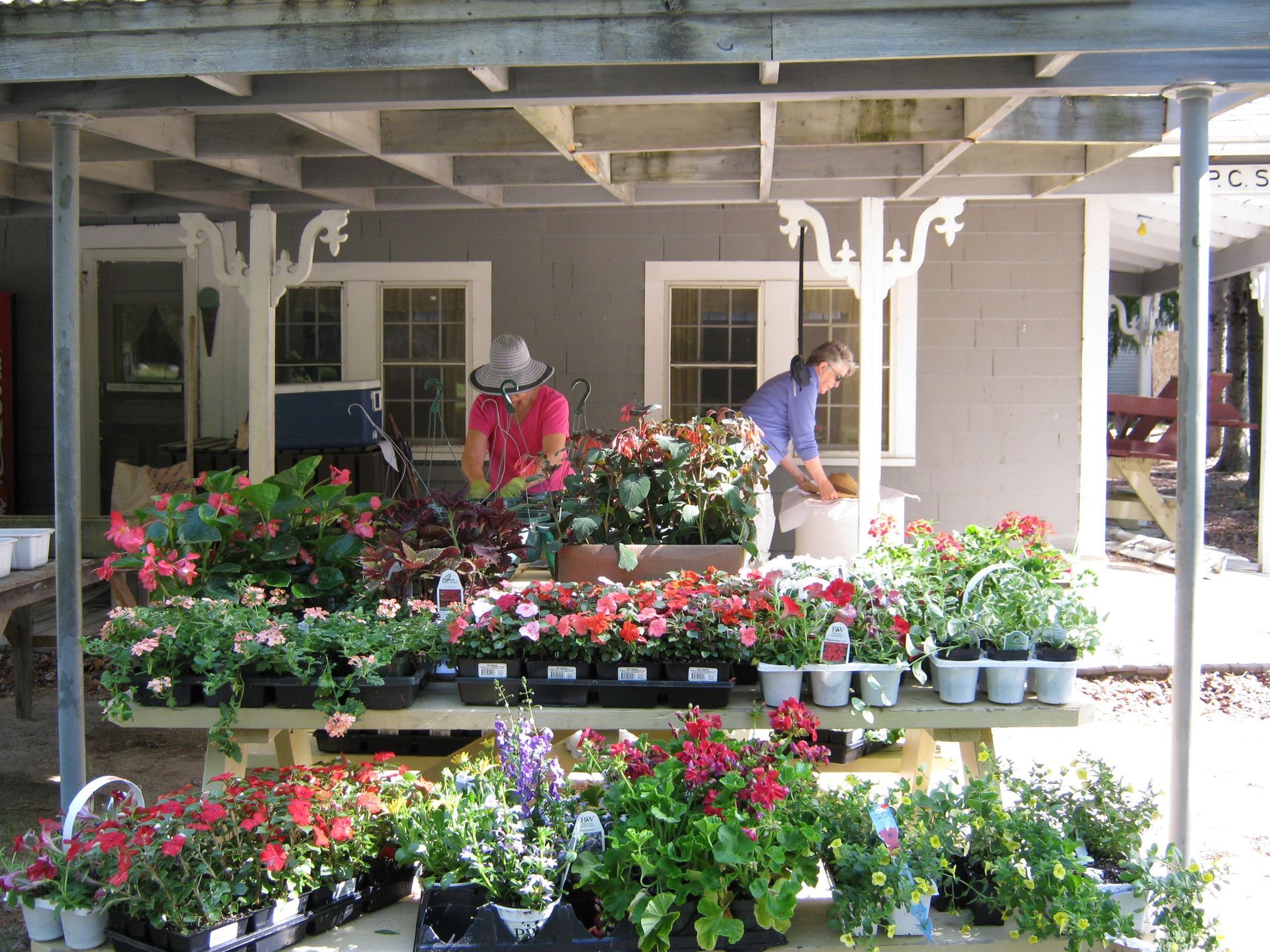A bunch of potted plants are sitting on a table