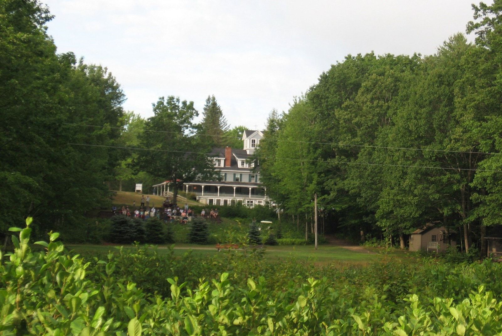 A large house is surrounded by trees and bushes