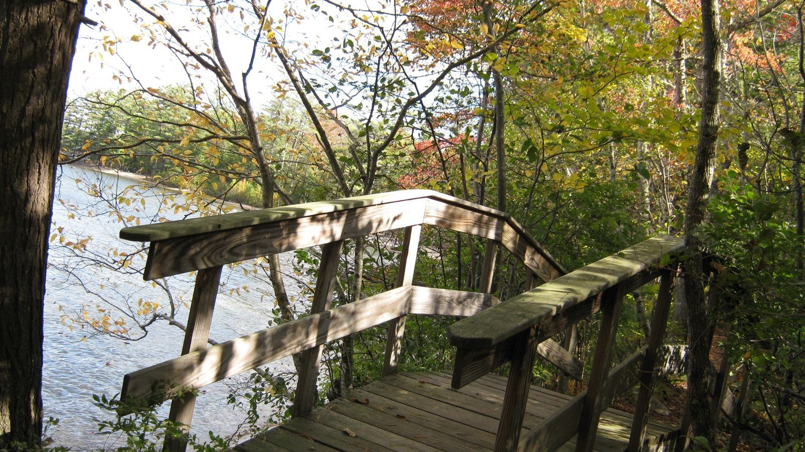 A wooden bridge over a river in the woods
