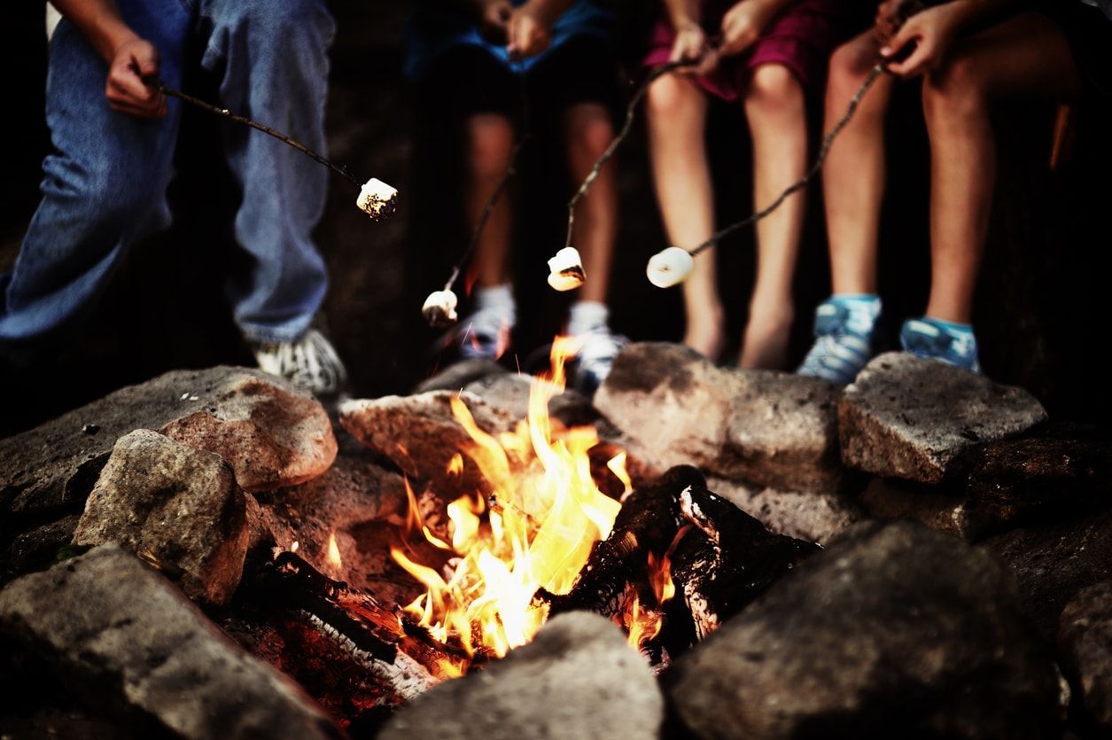 Families participating in fun activities during a family reunion.