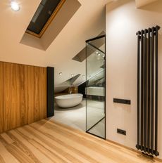 A bathroom with a tub and a skylight in the ceiling