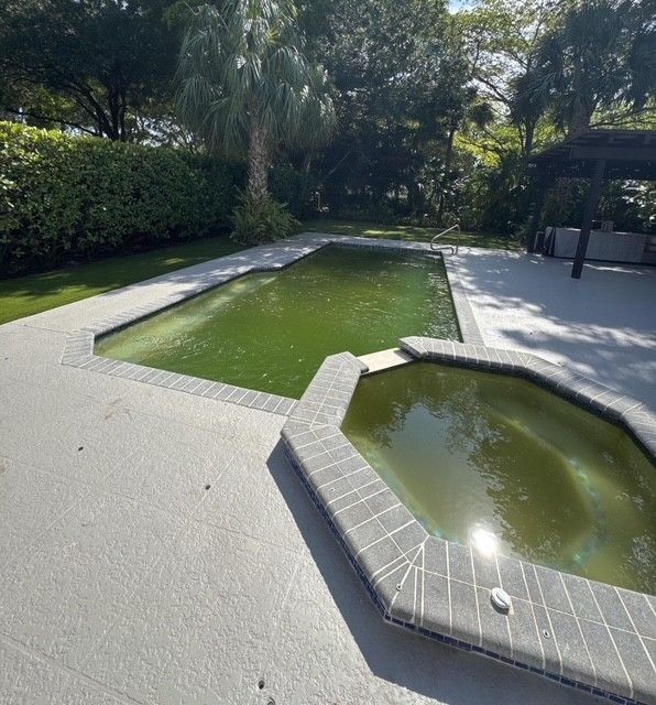 Green algae-filled swimming pool and attached spa, bordered by gray concrete. Lush greenery surrounds.