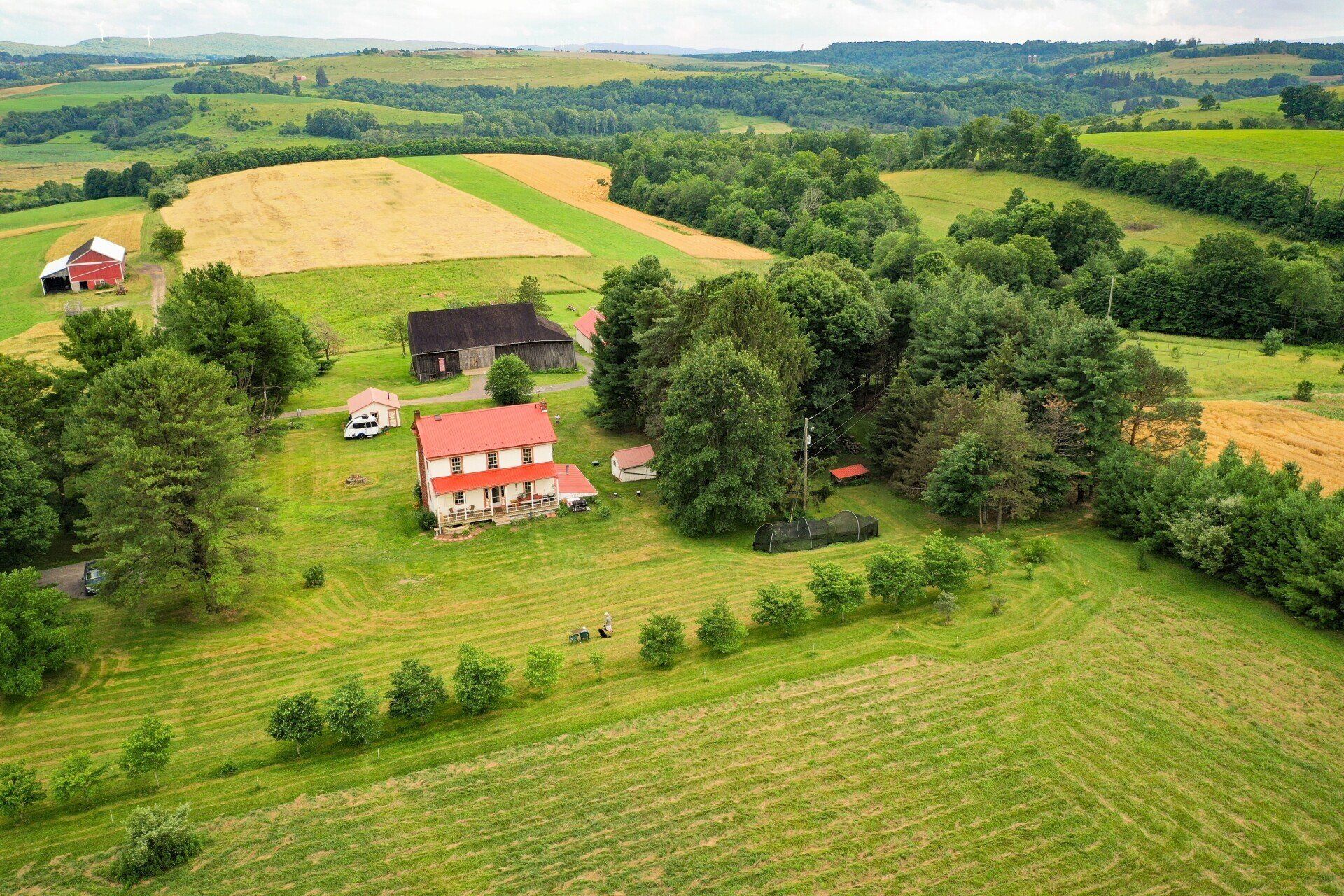 Dove Harbour Farm | April 2022 Newsletter, Vol.1, No.1