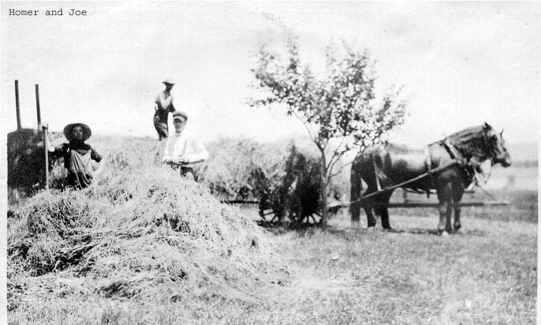 Homer and Joe Mason - Dove Harbour Farm
