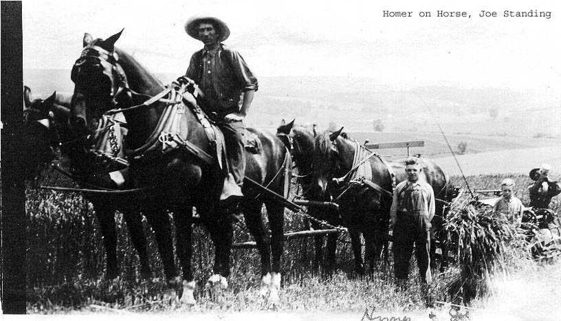 Man on horse with team pulling equipment, Joe standing, on a hillside.