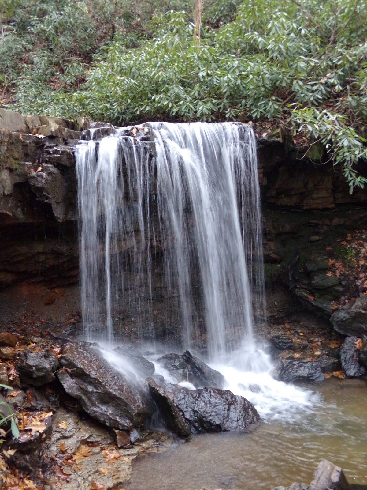 Cole Run Falls
