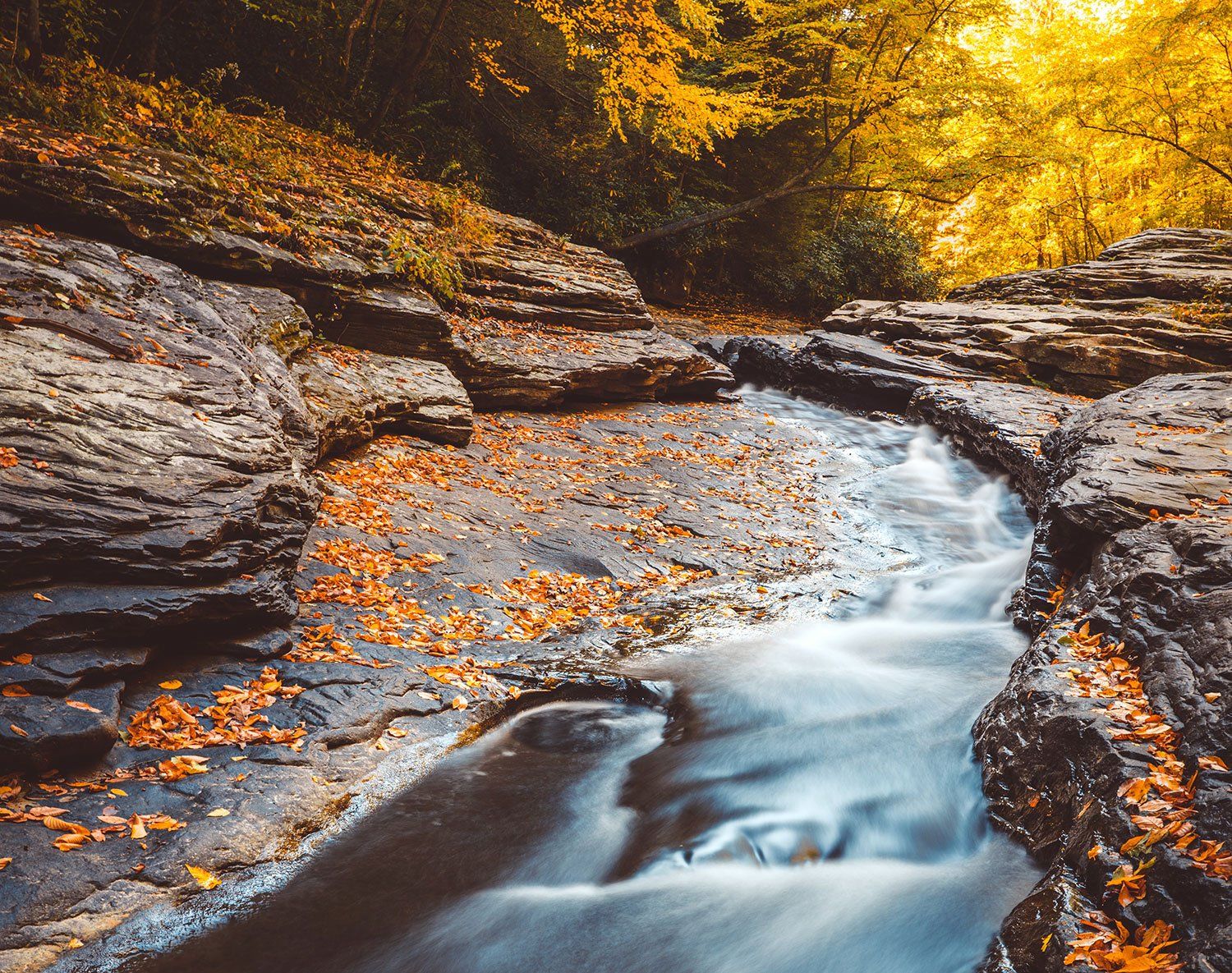 Ohiopyle State Park | Dove Harbour Farm