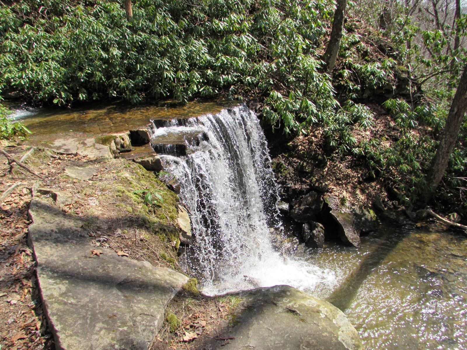 Cole Run Falls | Dove Harbour Farm