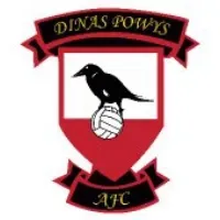 Dinas Powys FC