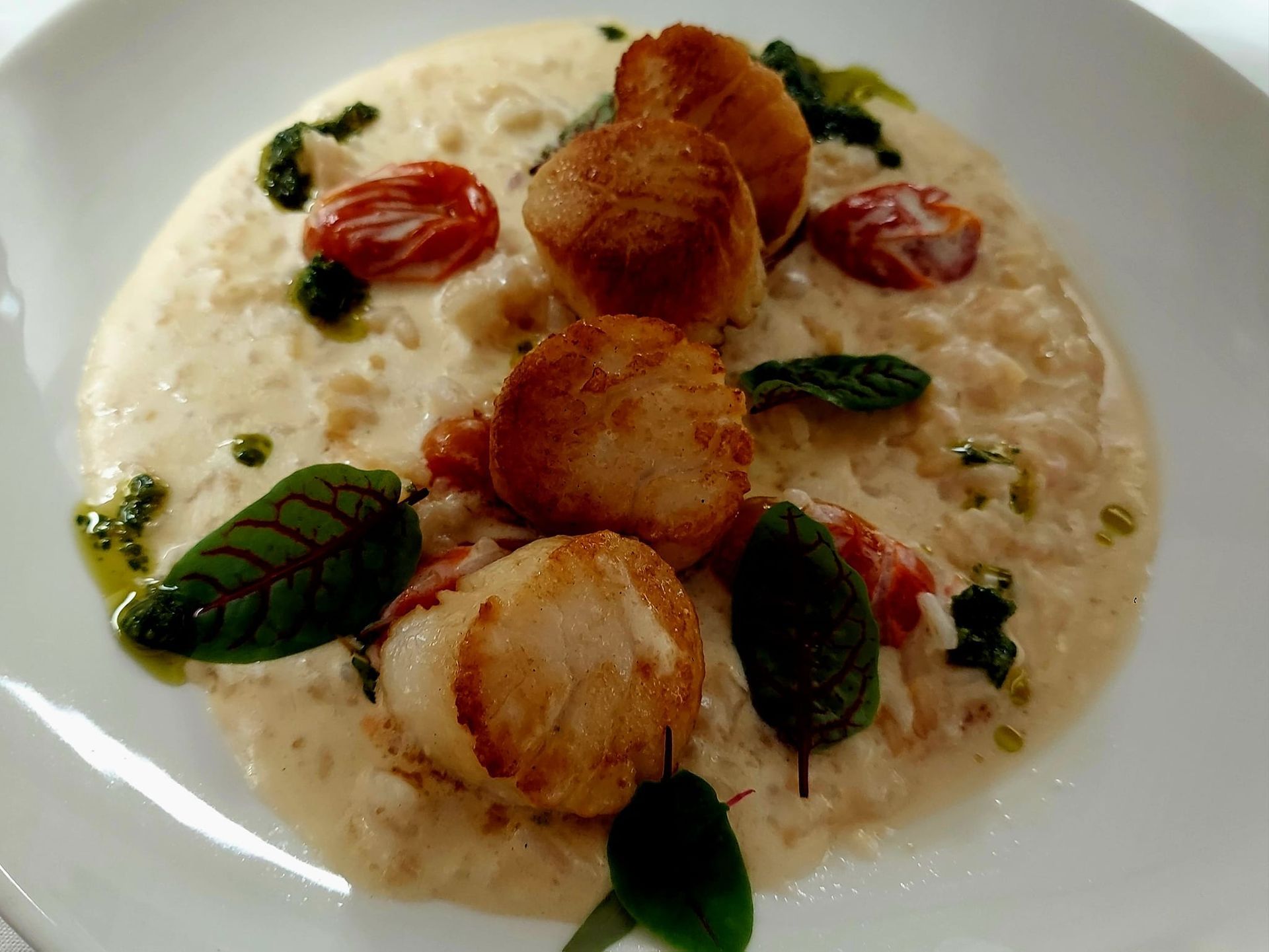 Seared scallops arranged in a line over creamy risotto, garnished with cherry tomatoes and green leaves in a white bowl.