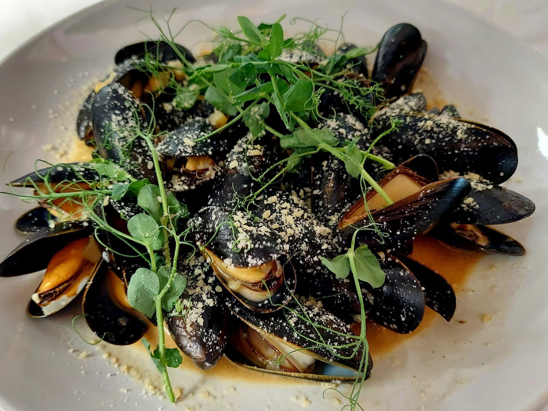 A plate of steamed mussels in a light broth, garnished with fresh pea shoots and a dusting of grated cheese.