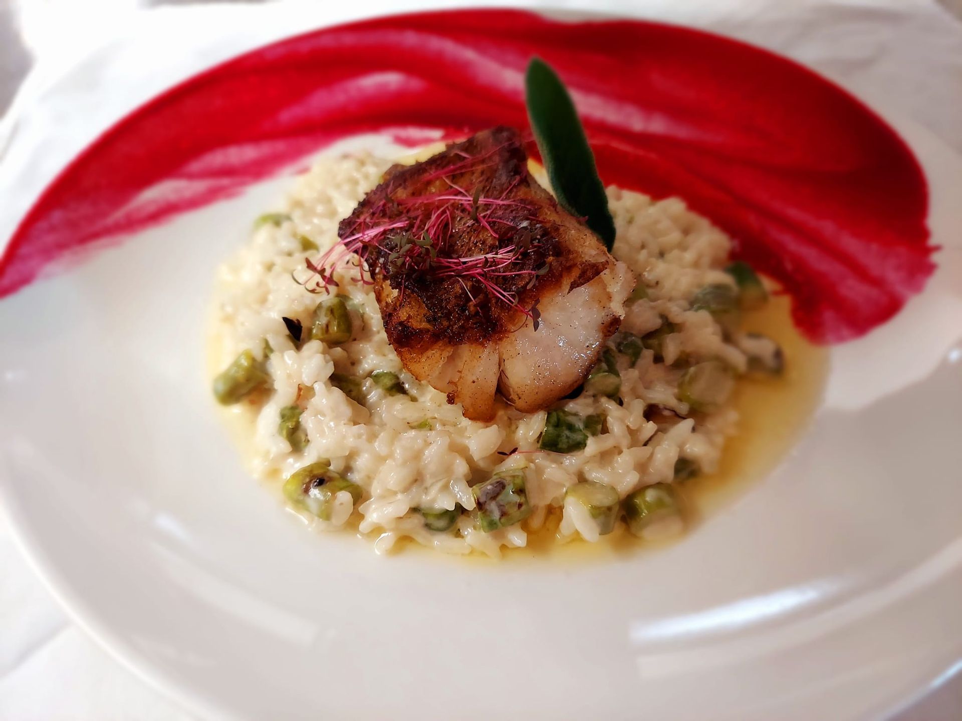 A seared scallop atop pea risotto, garnished with sprouts and a bold, swooping streak of red beet puree on a white plate.