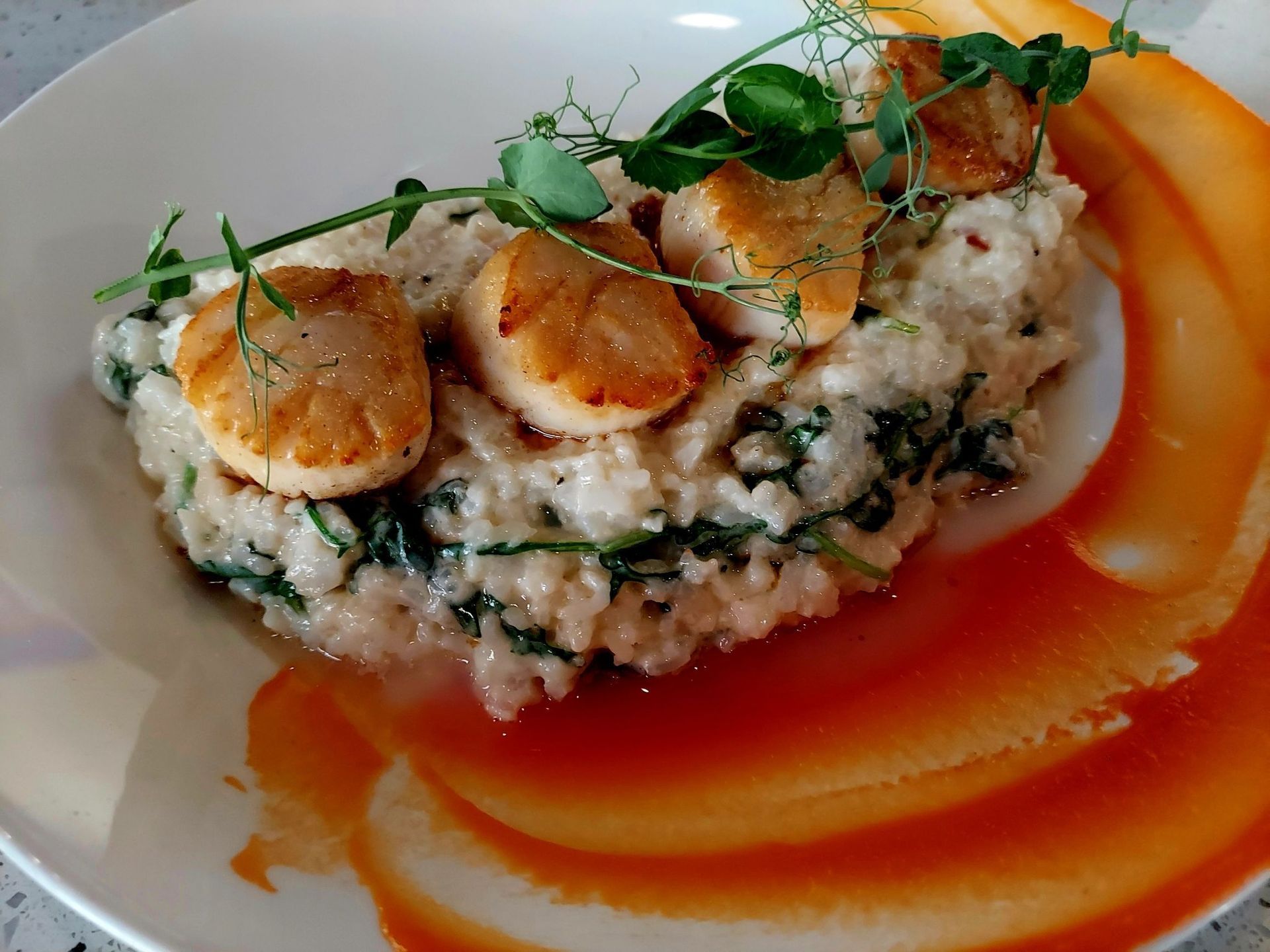 Three seared scallops atop a mound of spinach risotto on a white plate, garnished with microgreens and orange sauce.