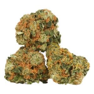 Three cannabis buds with green and orange tones on a white background
