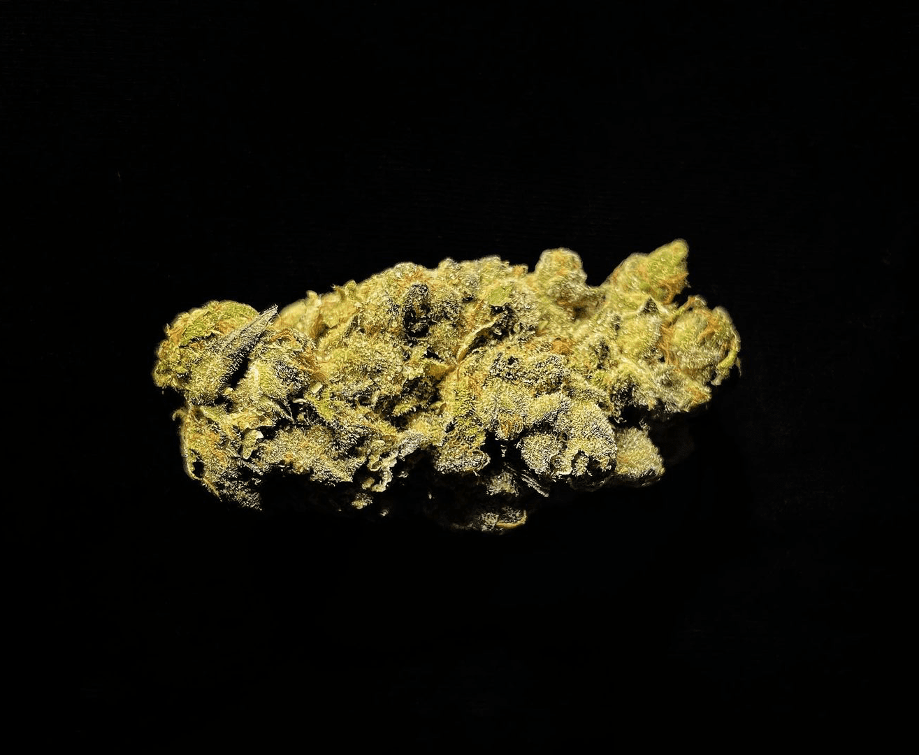 Close-up of a small yellow-green cannabis bud on a black background