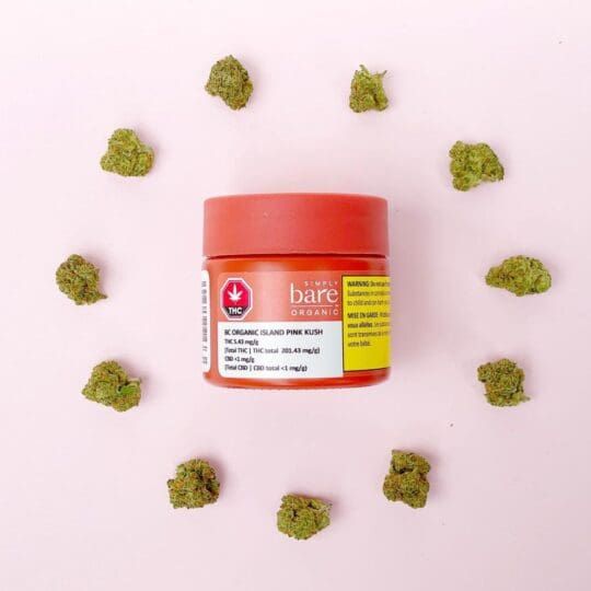 Red jar of cannabis cream surrounded by small green buds on a pink background.