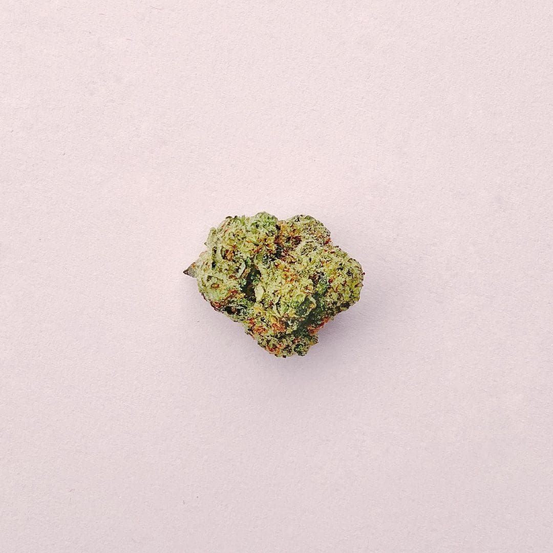 Small green and orange cannabis bud centered on a plain light pink background