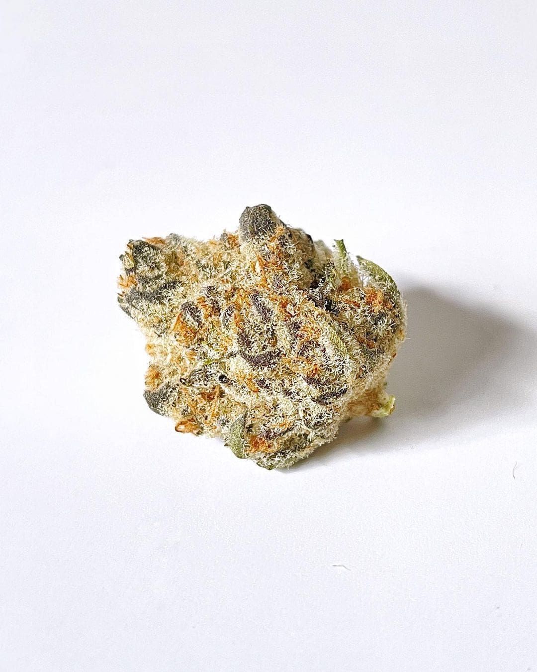 Small rough gray-and-orange rock on a white background