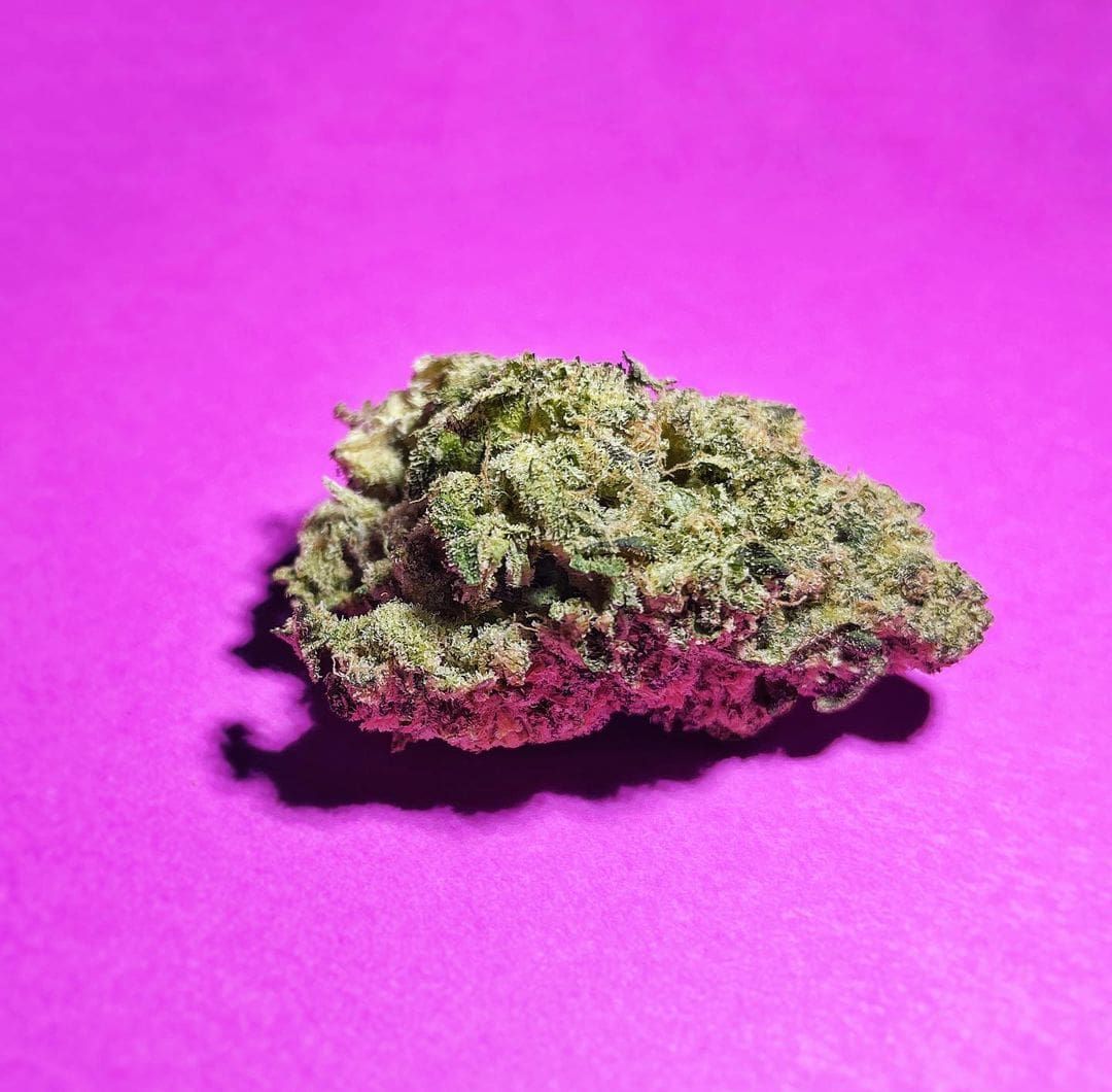 A small green cannabis bud on a bright pink background