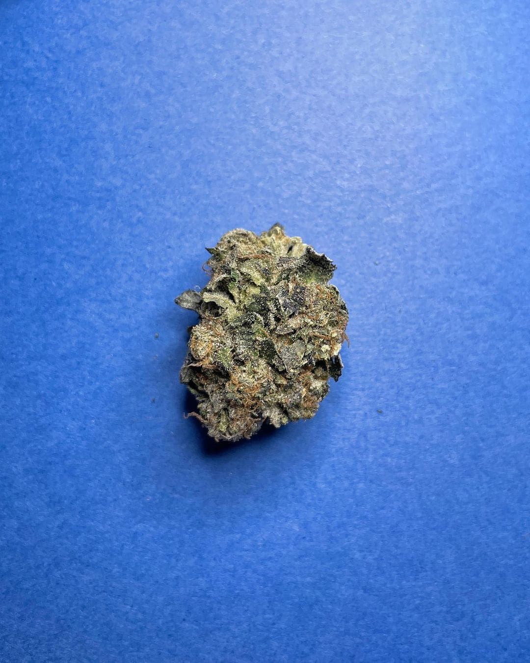 Small green-brown rock on a blue background