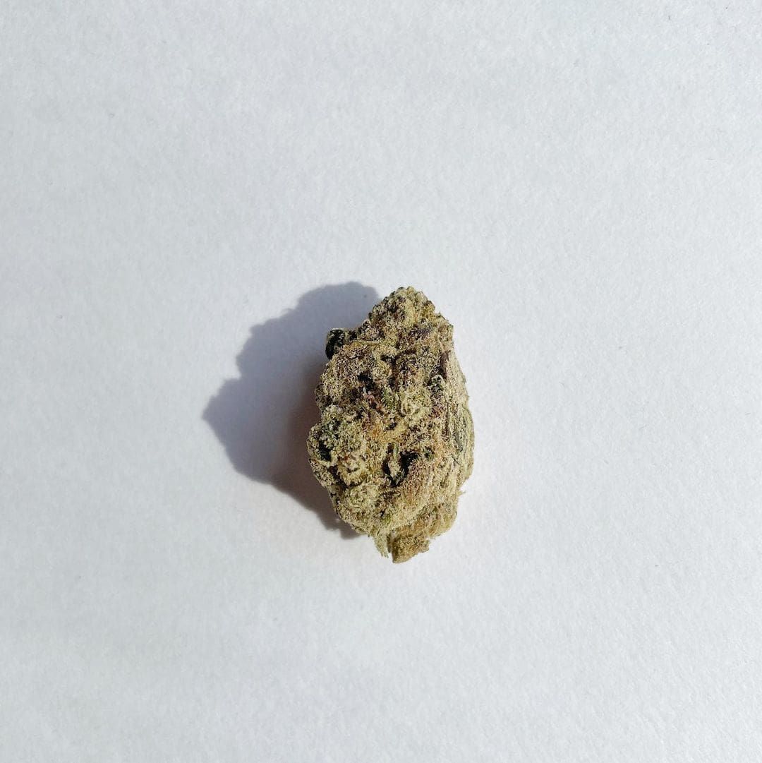 Small green cannabis bud on a plain white background.