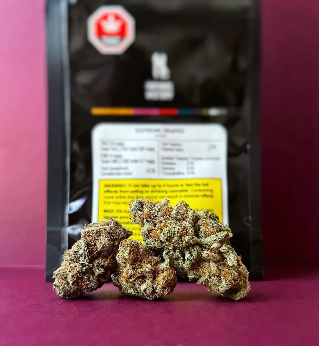 Small pile of cannabis buds in front of a black package with a yellow label on a maroon background