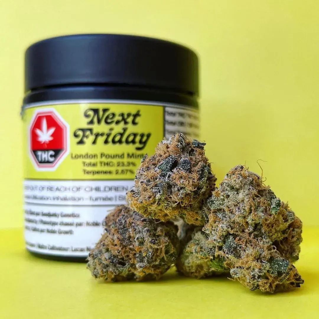 Cannabis buds beside a jar labeled “Next Friday” on a bright yellow background