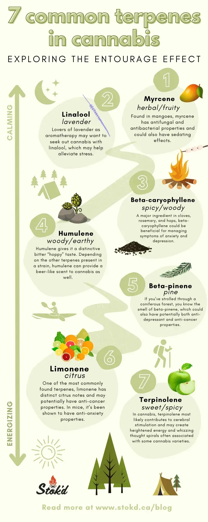 Green infographic of 7 common symptoms in perimenopause, with icons and brief tips on a pale background