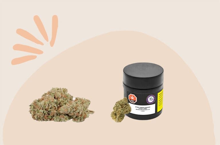 Two cannabis buds beside a black-lidded jar on a beige background