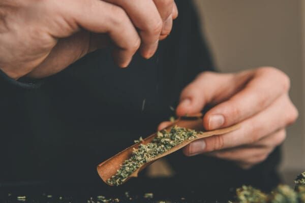 Hands rolling a cannabis joint with a brown paper wrap and loose green herb.
