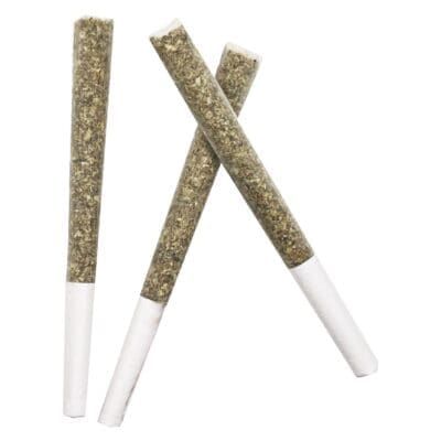 Three rolled cannabis joints with white tips on a white background