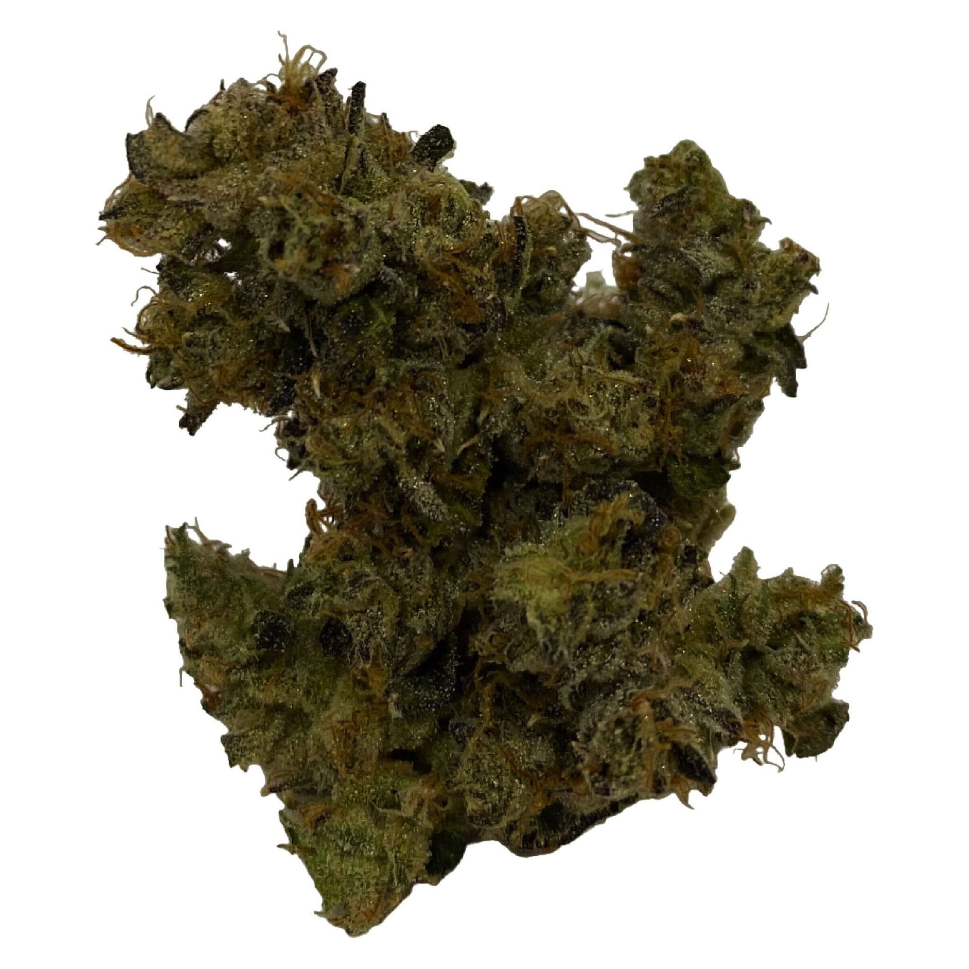 Cluster of dark green-brown cannabis buds on a white background