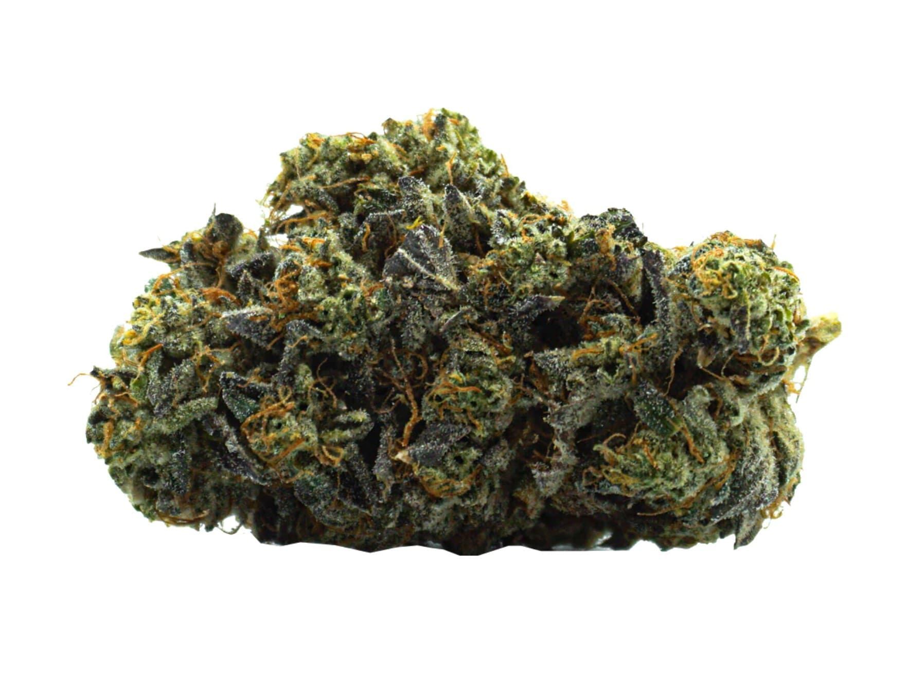 A close-up of a cannabis bud with green and orange tones on a white background