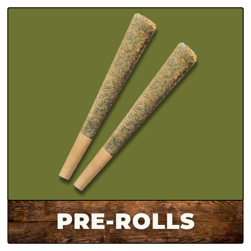 Two cannabis pre-rolls on olive green background with “PRE-ROLLS” text below