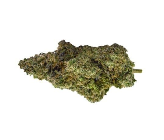 Close-up of a green and purple cannabis bud on a white background