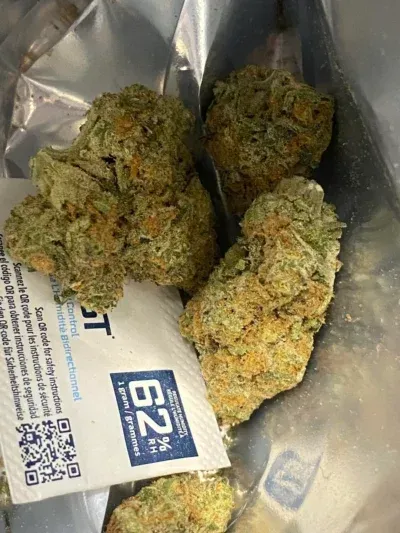 Three cannabis buds in a clear bag with an EZ label visible.