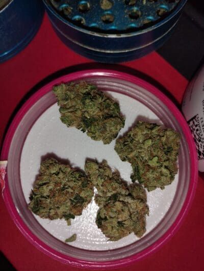 Four cannabis buds in a small container on a red surface.