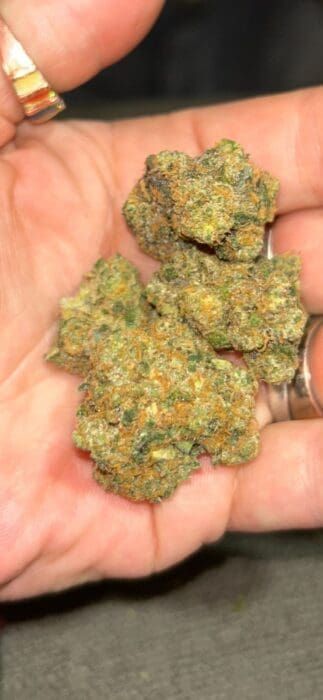 Hand holding several small greenish-brown cannabis buds close up