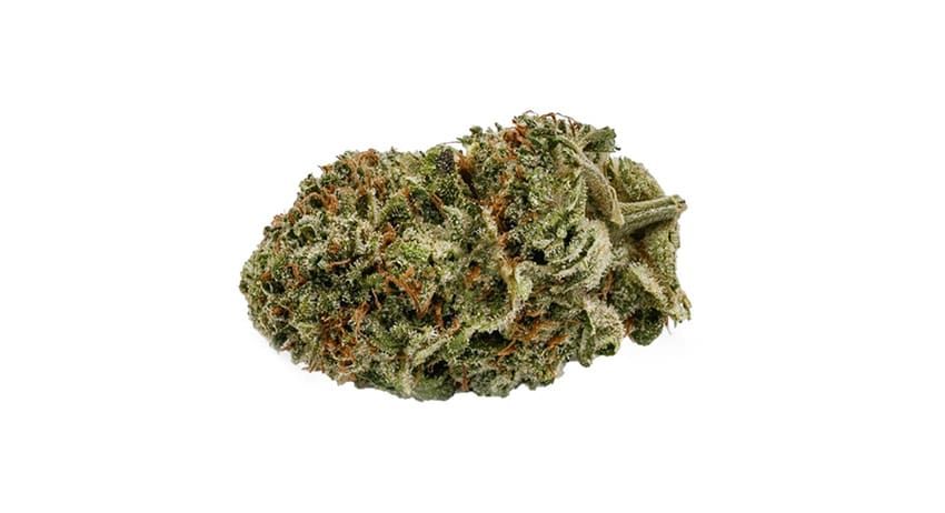 Close-up of a green cannabis bud with orange hairs on a white background