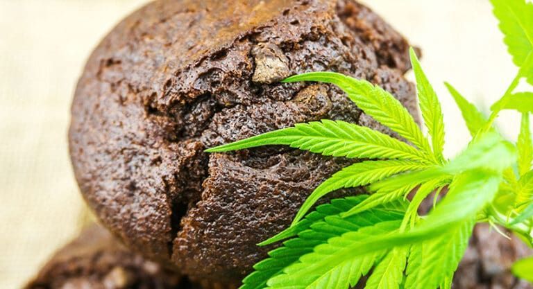 Fresh green cannabis leaf beside a close-up of a dark, cracked seed pod