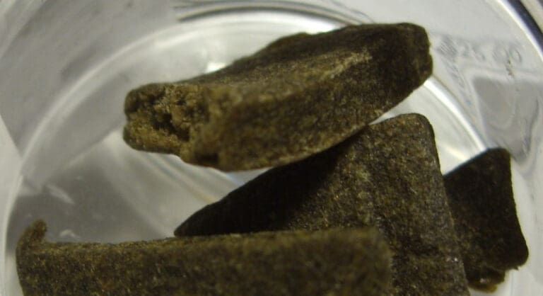 Small brown rock or mineral fragments in a clear plastic container