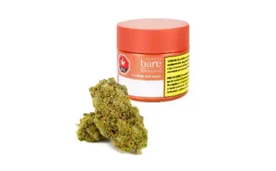 Small orange cannabis jar beside two green flower buds on a white background