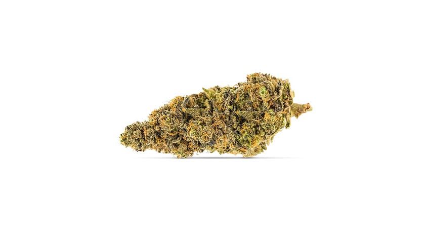 A small green-brown cannabis bud on a white background