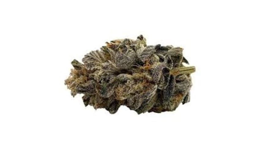 A close-up of a dried cannabis bud on a plain white background