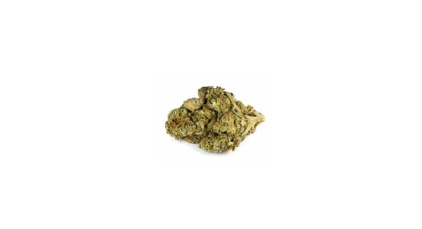 Small green-brown cannabis bud on a white background