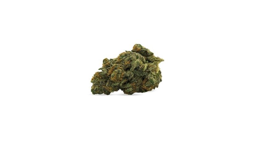 Close-up of a green cannabis bud on a white background