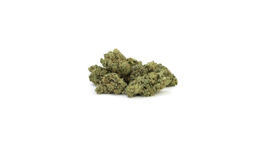 Small pile of green cannabis buds on a white background