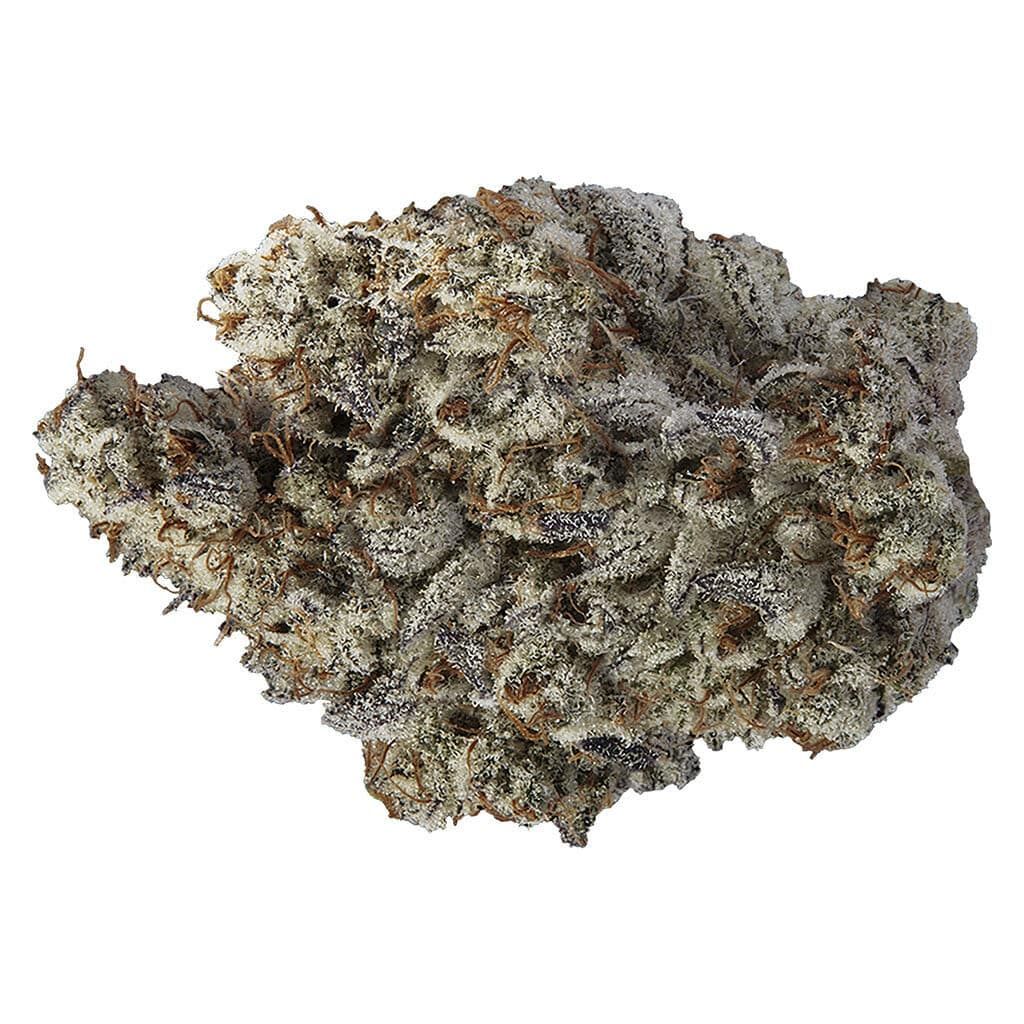 Close-up of a frosty cannabis bud with dense green and orange tones on a white background